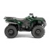 Grizzly 450 Grizzly 450